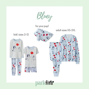 Hanna Andersson matching Christmas jammies for babies through adults--even the dog--Bluey