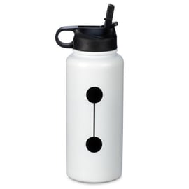 Disney Baymax Stainless Steel Water Bottle – Large – Big Hero 6